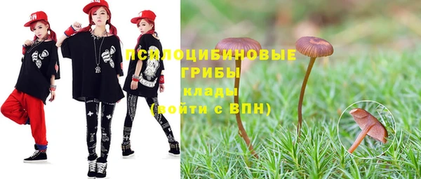 молекула духа Алексин